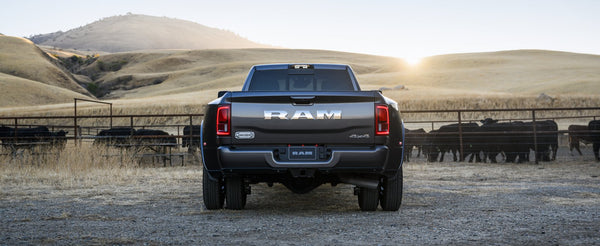 RAM - 3500
