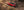 Jeep - Cherokee
