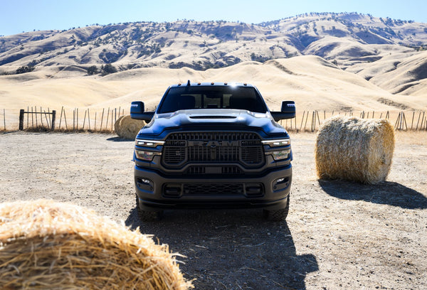 RAM - 2500