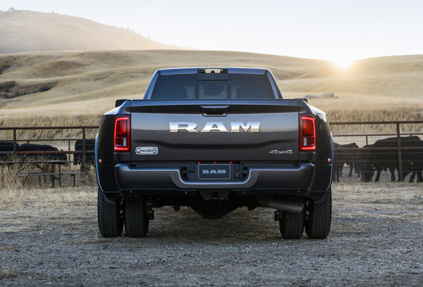 RAM - 3500