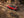 Jeep - Cherokee