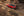 Jeep - Cherokee