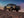 Jeep - Gladiator